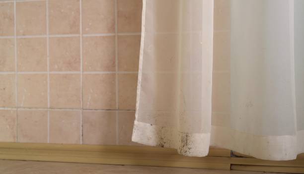 Best Mold-Related Health Consultation  in Lyons, OR