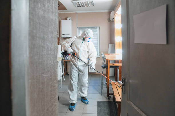 Best Attic Mold Removal  in Lyons, OR