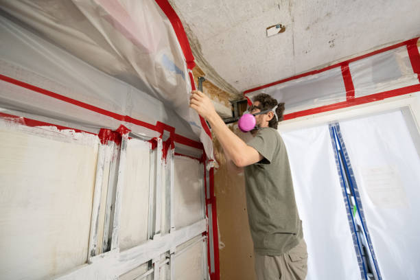 Best Environmental Consulting for Mold Prevention  in Lyons, OR