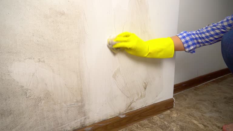 Best HVAC Mold Inspection and Cleaning  in Lyons, OR