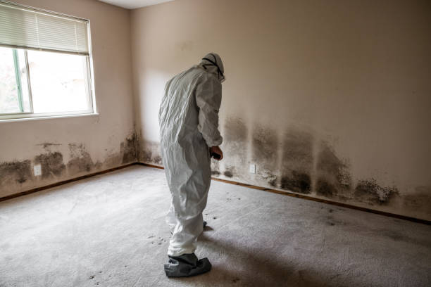 Best Air Quality Testing for Mold Spores  in Lyons, OR