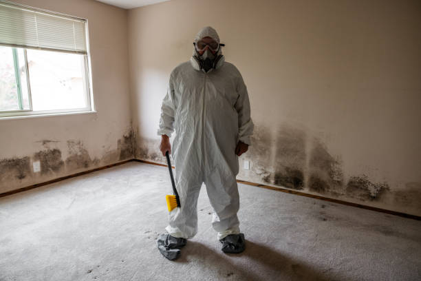 Best Asbestos and Lead Testing During Mold Inspection  in Lyons, OR